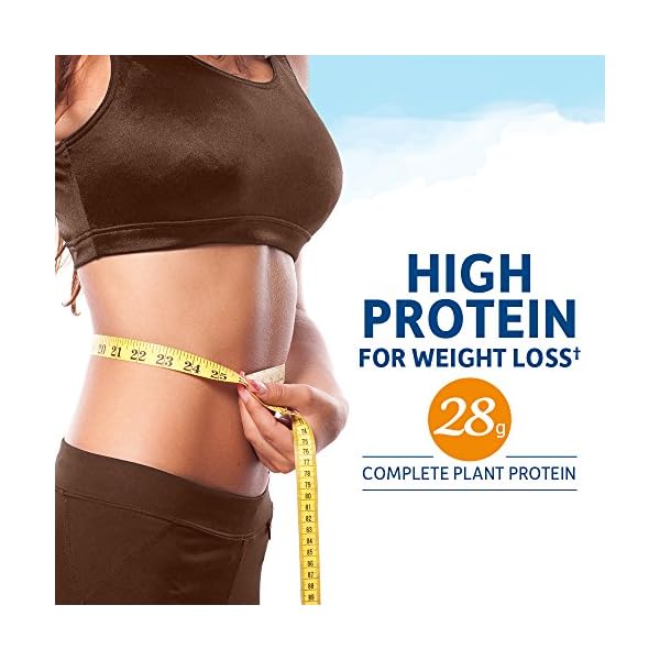 Garden of Life Raw Organic Fit Vegan Protein Powder Chocolate, 28g Plant Based Protein for Weight Management, Pea Protein Fiber Probiotics, Dairy Free Nutritional Shake for Women and Men, 20 Servings