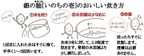 【新米】玄米 10kg 特別栽培米 飛騨 銀の朏(みかづき） (５分づき米に)