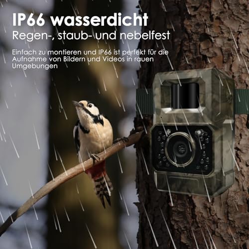 MAXDONE Wildkamera mit Bewegungsmelder Nachtsicht, 4K 64MP WLAN Bluetooth Wildkamera mit...