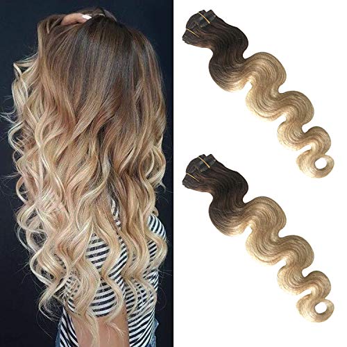 Ombre Curly Clip in Human Hair Extensions Body Wave Wavy Clip on Real Remy Hair Extensions for Women Double Weft Full Head Glueless Dark Brown to 613 Bleach Blonde Highlights 70g 7pcs 16 Clips 15 Inch