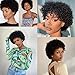 Plecare Afro Wigs for Women 100% Human Hair Soft and Fluffy Glueless Wigs 70s Kinky Curly Wig Cosplay or Daily Use (Natural Black)