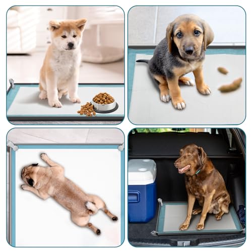 Transni Bandeja Para Suporte De Tapete Higiênico Para Filhotes, Suporte Antiderrapante Para Tapete H