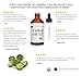 Castor Oil (2oz) USDA Certified Organic, 100% Pure, Cold Pressed, Hexane Free by Kate Blanc. Stimulate Growth for Eyelashes, Eyebrows, Hair. Lash Growth Serum. Brow Treatment. FREE Mascara Starter Kit