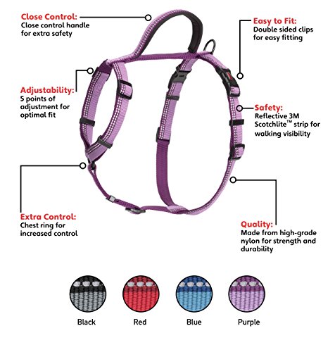 Image of HALTI Walking Harness - Lightweight Dog Harness with Handle, Reflective & Adjustable, Ideal for Puppy Walks, Suitable for Small Dogs and Puppies (Size XS, Purple) | Lightweight Dog Harness with Handle | Reflective & Adjustable | Suitable for Puppies, Toy Breeds & X-Small Dogs