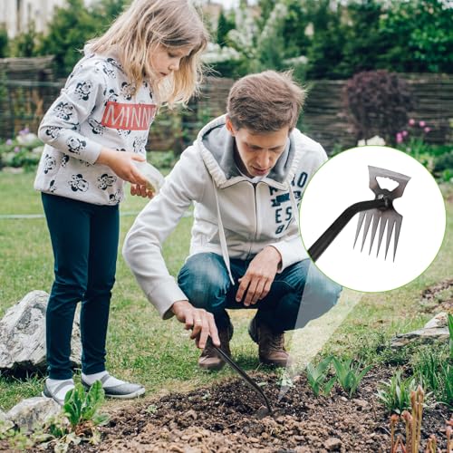 Gartenarbeit Hand Unkrautstecher Mit Stiel 6 Zähne Gartenwerkzeug Unkraut Entferner Gerät Ergonomisches Design Entwurzelungswerkzeug Unkrautjäter Mit Langem Stiel Unkrautjäter Fugenkratzer