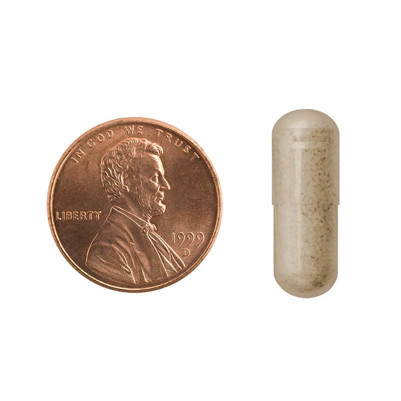 Mason Vitamins Ginkgo Biloba 500 mg 180 Gelatin Capsules per Bottle, Pack of 2 Bottles Total 360 Capsules