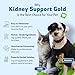 Pet Wellbeing Kidney Support Gold for Dogs - Supports Healthy Kidney Function, Fluid Balance, Energy Levels, Rehmannia, Dong Quai - Veterinarian-Formulated Herbal Supplement 4 oz (118 ml)