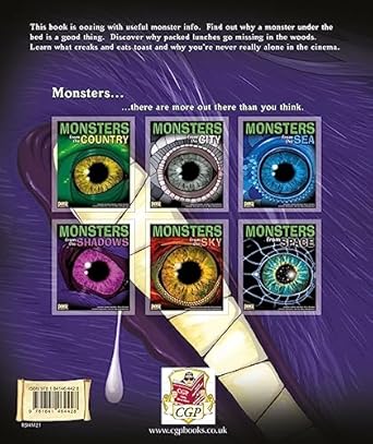 KS2 Monsters from the Shadows Reading Book