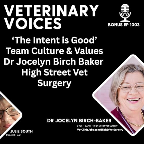 Dr Jocelyn Birch Baker: 'The Intent is Good' - Team Culture & Values | High Street Vet Surgery - ep 1003 Podcast Por arte de portada