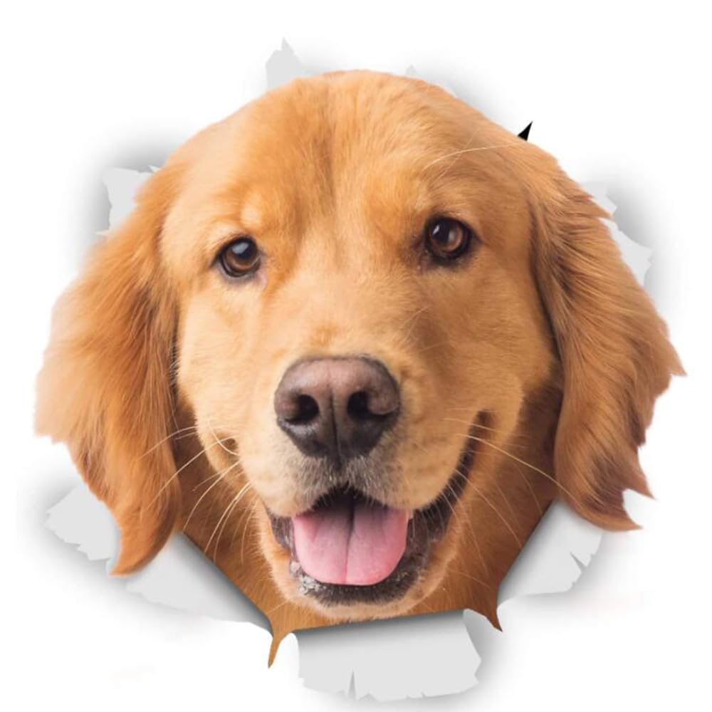 Golden Retriever Aufkleber, 3D Durchbrucheffekt, Reflektierend, Wasserfest, Lustige Dekoration für Laptop, Kühlschrank, Auto, Stoßstange, Fenster (22cm/8.7 Inch)