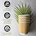 NYHI Set of 150 Ripple Insulated Kraft 12 oz Paper Cups Coffee Tea Hot Cups Recyclable 3 Layer Rippled Wall For Better Insulation Perfect for Cappuccino Hot Coco or Iced Drinks