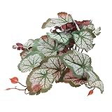 BESPORTBLE 爬虫類飼育箱用人工植物 環境形成グリーンプラント 隠れ場所演出シミュレーション装飾 丈夫な樹脂製レプルタンクアクセサリー