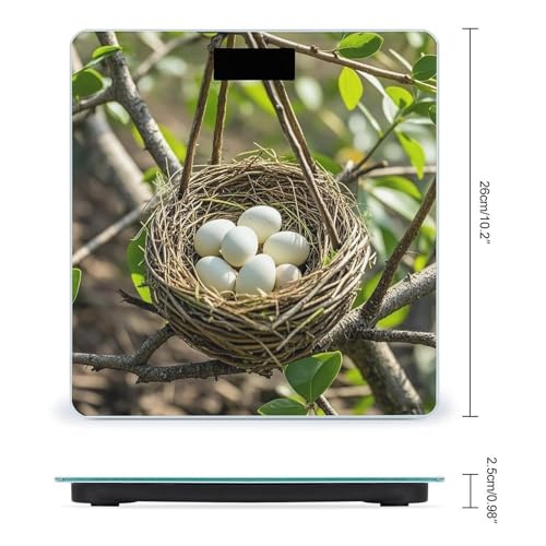 Báscula de baño digital Magical Bird Nest de vidrio templado miniatura 2