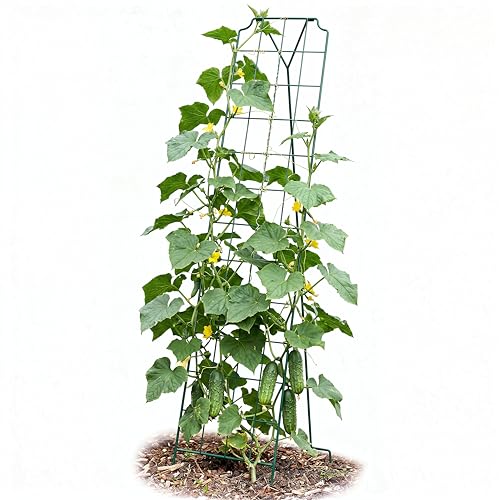 bellissa 1 Stück - Gurken-Gitter und Rankhilfe für Gurkenpflanzen und Gemüse Rank- für Topfpflanzen grün 179x39 cm