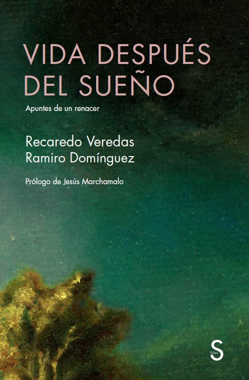Vida después del sueño: Apuntes de un renacer