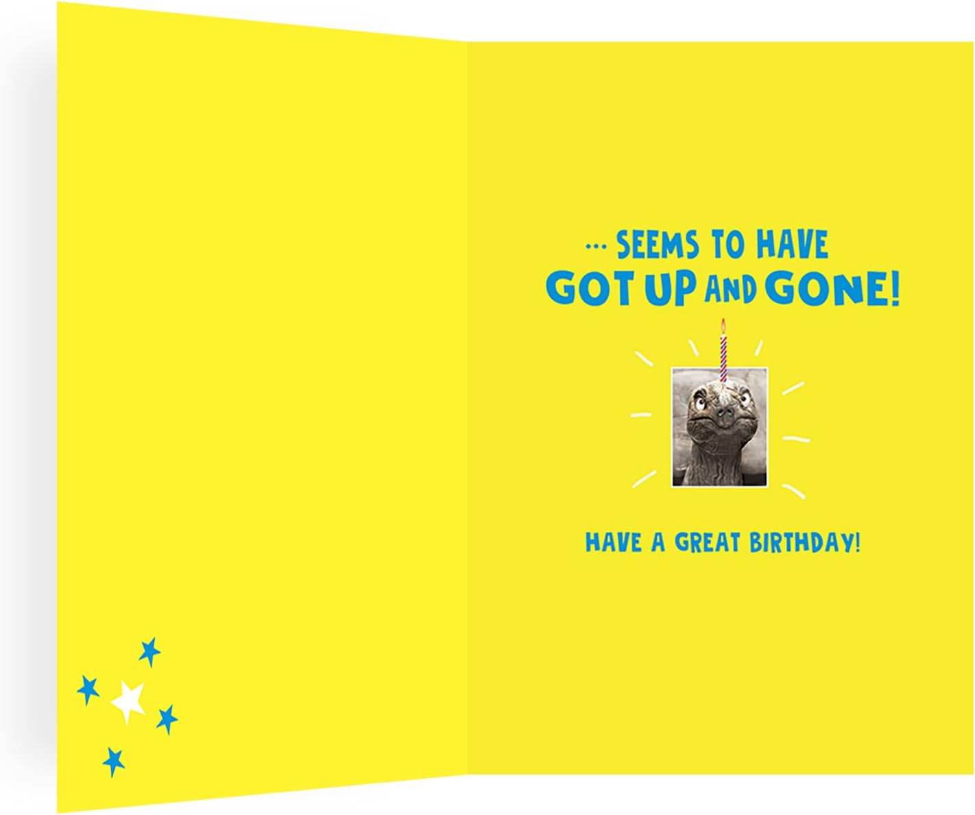Regal Publishing Humour Funny Birthday Card Turtle getting old - 7 x 5 inches