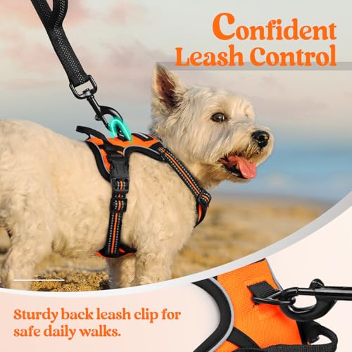 Image of rabbitgoo Dog Harness No Pull with 2 Leash Clips, Adjustable Soft Padded, Reflective Oxford No Choke Pet Vest with Easy Control Handle for Puppy, Orange,XS