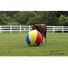 Horsemen's Pride 40-Inch Mega Ball Cover for Horses, Beach Ball Pattern (C440BB)