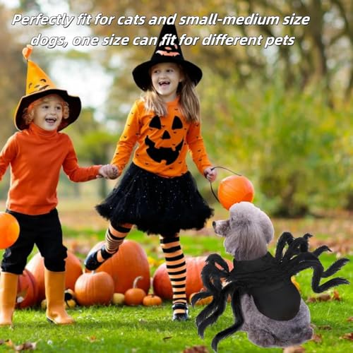 Halloween Spinnenkostüm für Hund Katze Verstellbare Spinnenkostüme für Kleine Mittlere Hunde Katzen Leerer Herzzylinder (A)