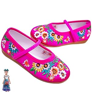 Princess Costume Shoes for Girls Gorgeous Mary-Jane Ballet Pumps Comfortable Low Heel Round Toe Flats Floral Embroidery Shoes