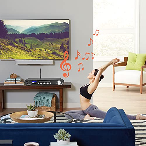 Ocean Digital WR-50CD Internetradio-tuner Wi-Fi/FM/DAB/DAB+ Bluetooth-ontvanger stereo-uitgangen op analoge en digitale… - Image 8