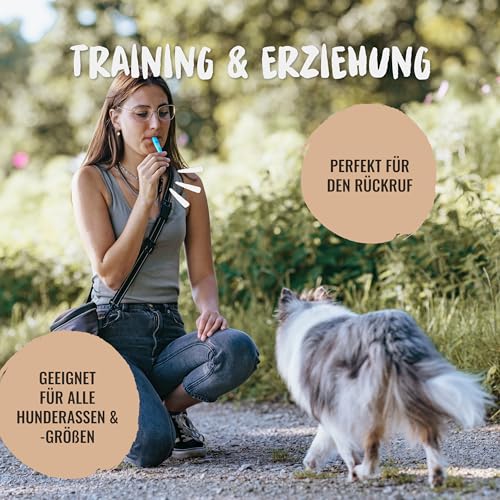 Rudelkönig Hundepfeife für Rückruf - Professionelle Trainingspfeife mit genormter Frequenz und Pfeifenband - Erziehungshilfen für Hunde