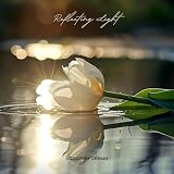  Reflecting Light