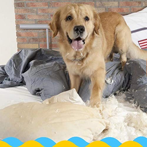 Libroty Pet Puppy Dog Squeaky Fetch Ball Toys