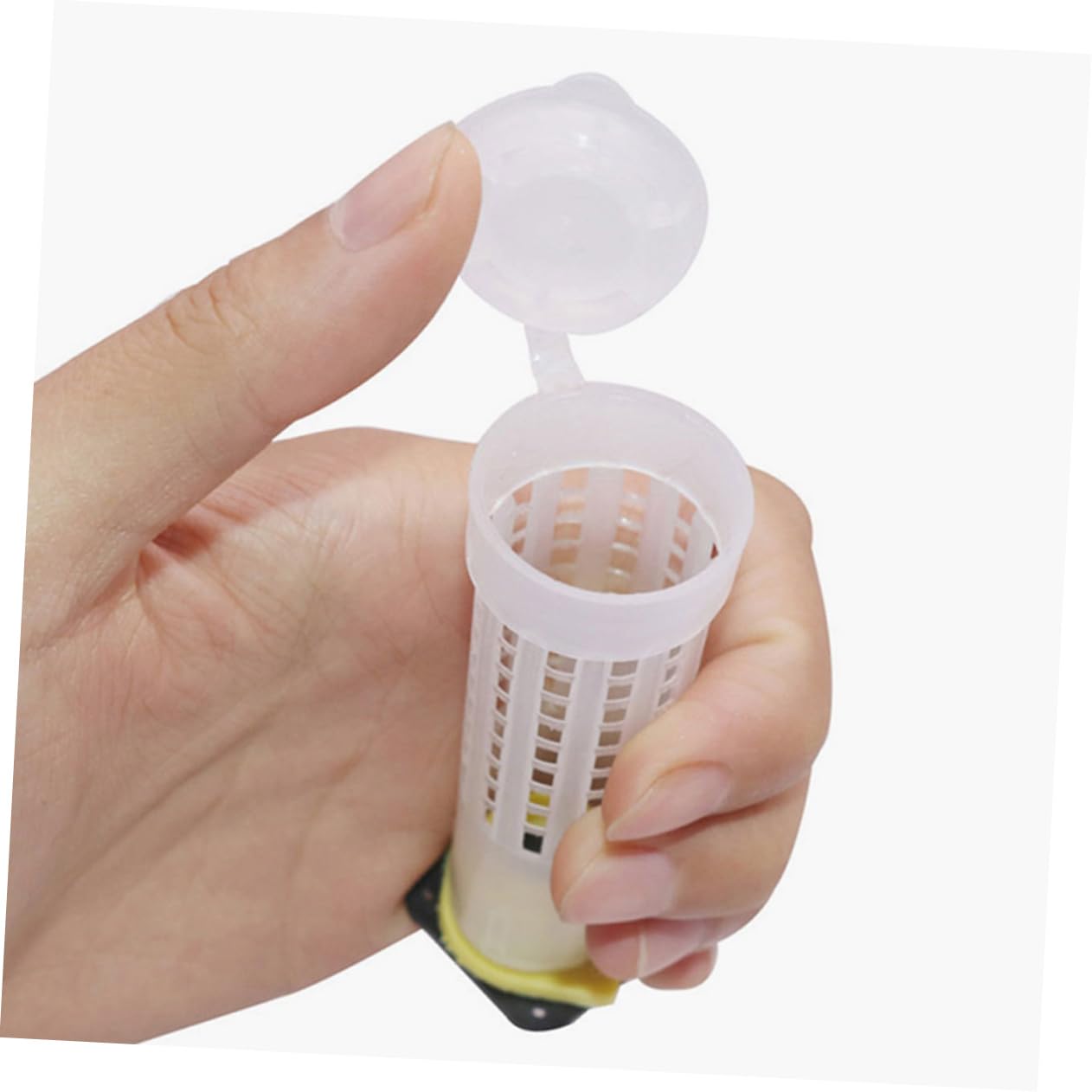 Garneck 4 Set Copertura Per Allevamento Api Protezione Bee Cage Con Design Ventilato Attrezzatura Per Apicoltura E Facile Da Utilizzare Per Apicoltori E Allevamento Delle Api 40 Pezzi * 4