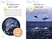 Everything Dolphin (Kids Faqs)