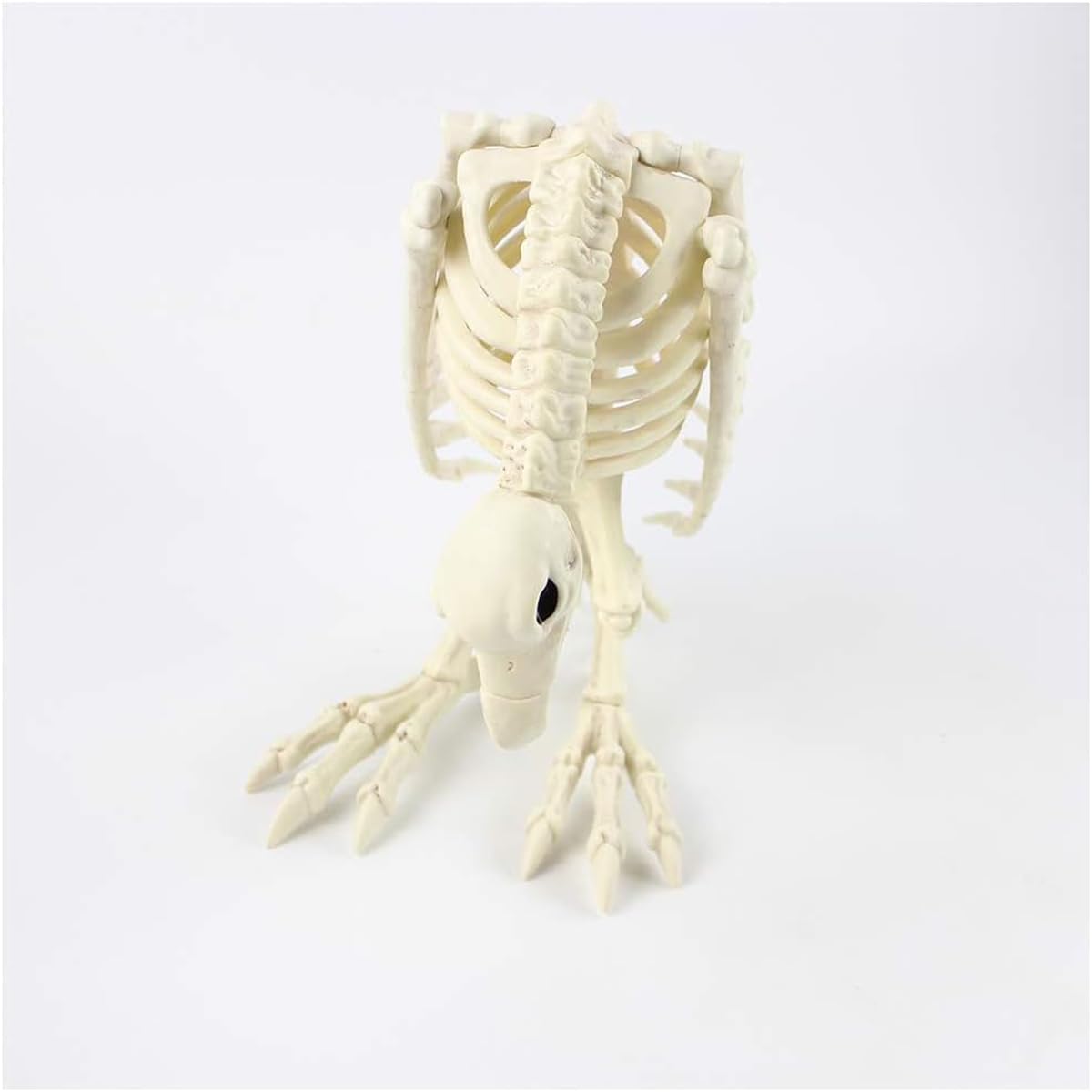 Halloween Esqueleto Buitre Animal Esqueleto Modelo Halloween Horror Esqueleto Buitre Animal Hueso Atrezzo Esqueleto Animal Decoración para Fiesta Decoración Inicio Casa Embrujada Ornamento