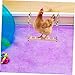 LIOOBO 1pc Wooden Rooster Swing Toy Pet Suspension Bridge for Chickens Hens Birds Interactive Climbing Exercise Accessory for Fun Balance Activities