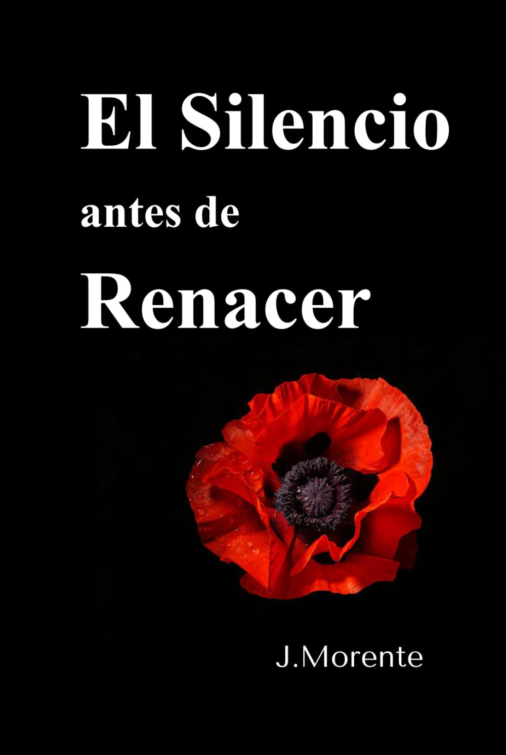 El Silencio antes de Renacer: Cuando el alma empieza a hablar
