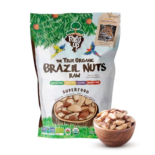 Image of Snack The True Organic Brazil Nuts 15 oz - Raw and Unsalted - Kosher - Healthy-Rich in Vegetable Protein - Harvested in Amazon Rainforest - Fresh, Vegan and Gluten Free - Forest Up