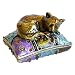 Vintage Style Hand-Painted Cat Sleeping On Pillow Trinket Box