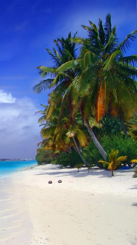 Tropical Paradise Wallpaper - App on Amazon Appstore