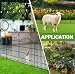 IMSGVIFO Steckzaun Metall,Teichzaun 80cm Hoch,10x Oberbogen Rund Dekorativer Gartenzaun,Gitterzaun Set Beetzaun Zaunelemente Steckzaun für Hunde Teichumrandung Hühnerzaun Schafzaun,Anthrazit