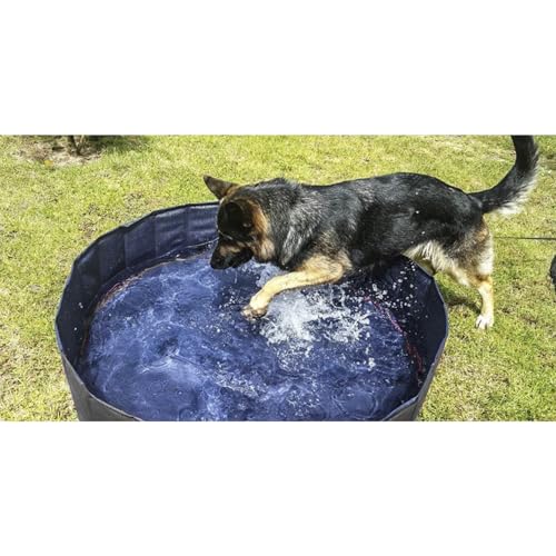 PURLOV Hundepool 160x30 cm/ 120x30cm PVC + ABS Klappbar Antitutsch-Belag Ablaßventils Blau-Grau 23831, Größe:120/30 cm