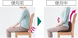 株式会社ディノス・セシール 馬具マットプレミアムEXの商品画像