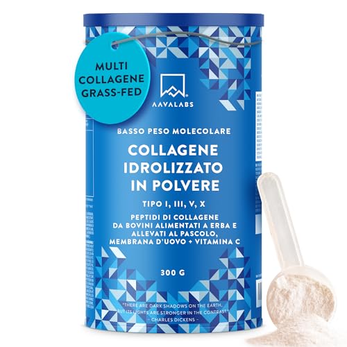 Collagene Idrolizzato Peptidi di Collagene in Polvere Basso Peso Molecolare | Collagene Integratore da Bovini Allevati ad Erba | Collagene e Acido Ialuronico - Collagene da Bere Non Aromatizzato 300g