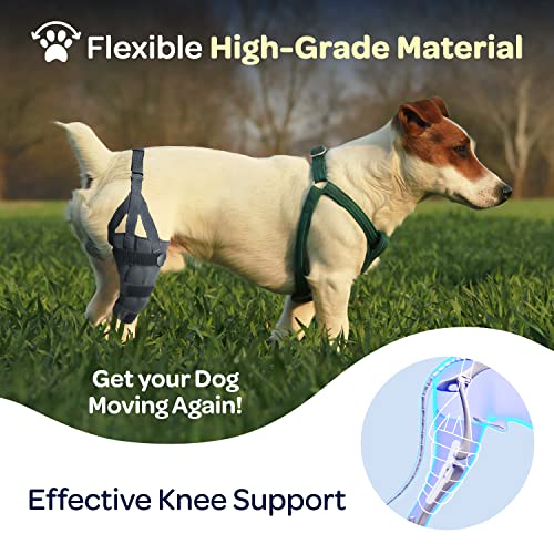 Image of Labra Dog Canine Knee Stifle Brace Wrap, Metal Splint Hinged Flexible Support Brace for K9 ACL, CCL, Luxating Patella, Cruciate Ligament Sprains in Back Hind Leg, Large - Right Knee, 75-100 lb Dogs