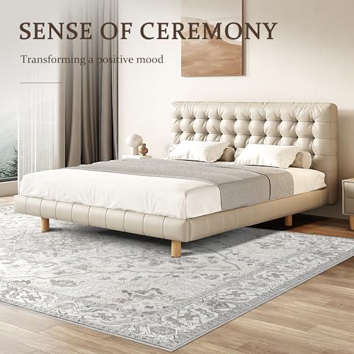 Deerly Vintage Area Rug 5x7 Boho Washable Large Living Room Bedroom Rugs Non Slip Low Pile 5x7 Rug for Kitchen Entryway Bedroom Dining Room Office, Beige/Multi