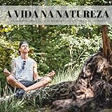  A Vida Na Natureza: Uma Sequência Relaxante De Sons Da Floresta Para A Paz Interior
