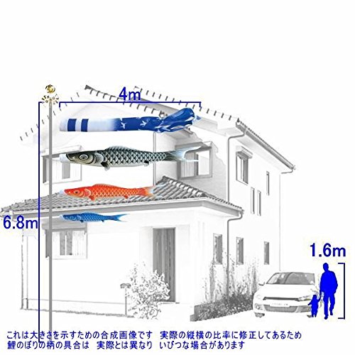 Amazon | キング印鯉のぼり 鯉のぼり 庭用 瑞宝（鶴吹流し） 庭園