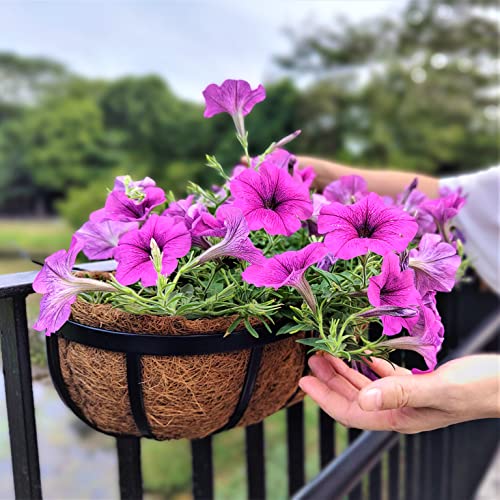 Maxona Wall Planter - 1 Pack, 16 Inch Outdoor Wall Mounted Planter, Window Flower Basket Attach To House, Balcony Railing Hanging Planter #TOP4