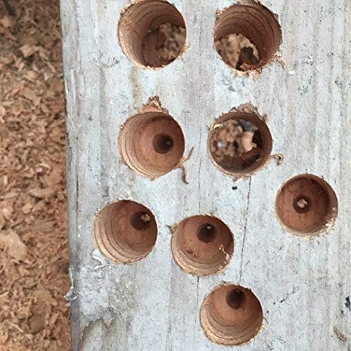 Wisfor Wood Drill Bit Sets, 5Pcs Extra Long Woodworking Drill Bit Sets 6-14mm Carbon Steel Spiral Drilling Hole Cutter Hex Shank 9 Inch Auger Bit for Home Improvement Industrial Workshop