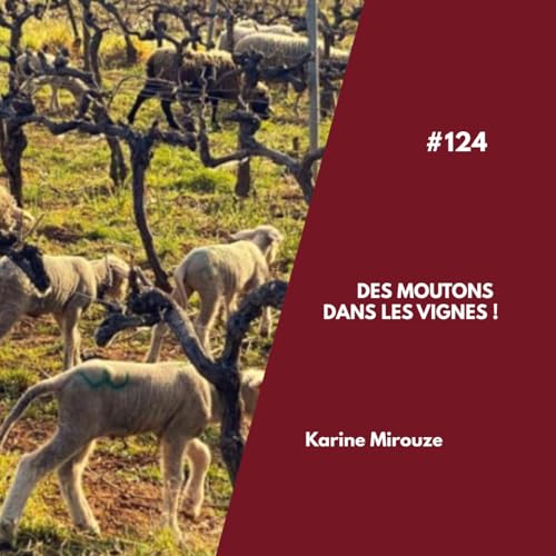 #124 - Des moutons dans les vignes !