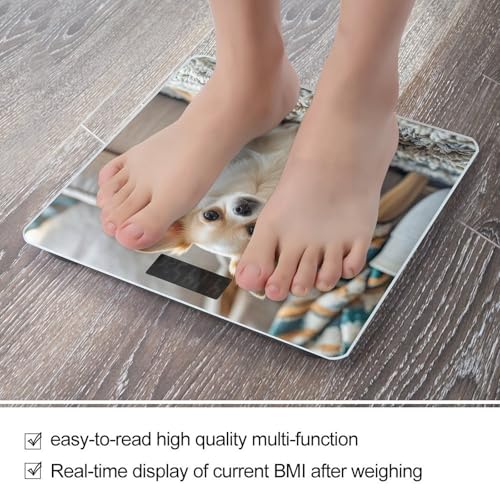 Báscula digital para baño con diseño Chihuahua miniatura 5
