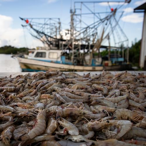 Catching up with a fired federal worker, a shrimper and a fraudster