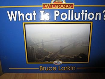 Paperback What Is Pollution? Book